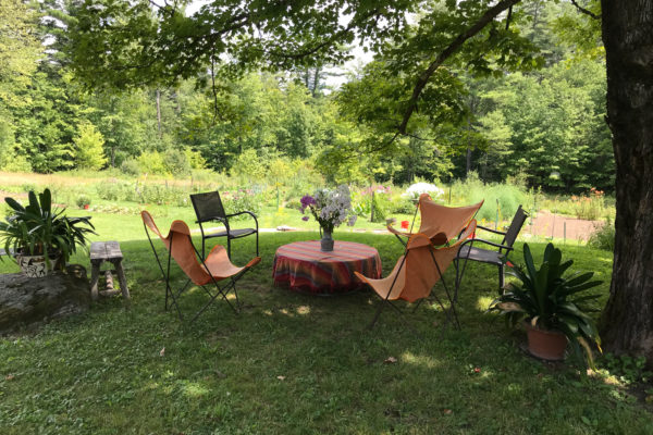 Meals under the maple tree